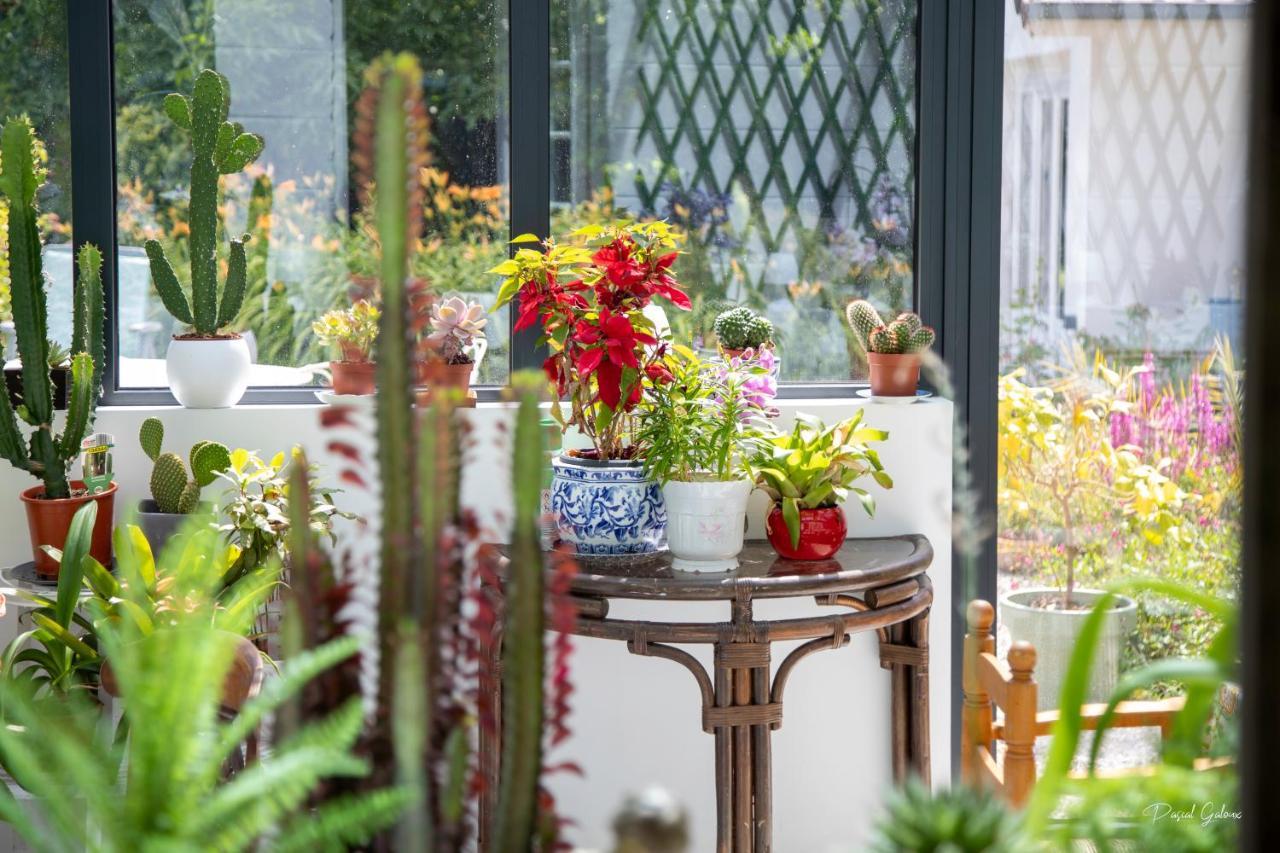 Villa Marguerite 65 Rue Legout Lesage 76260 Ponts Et Marais Ngoại thất bức ảnh