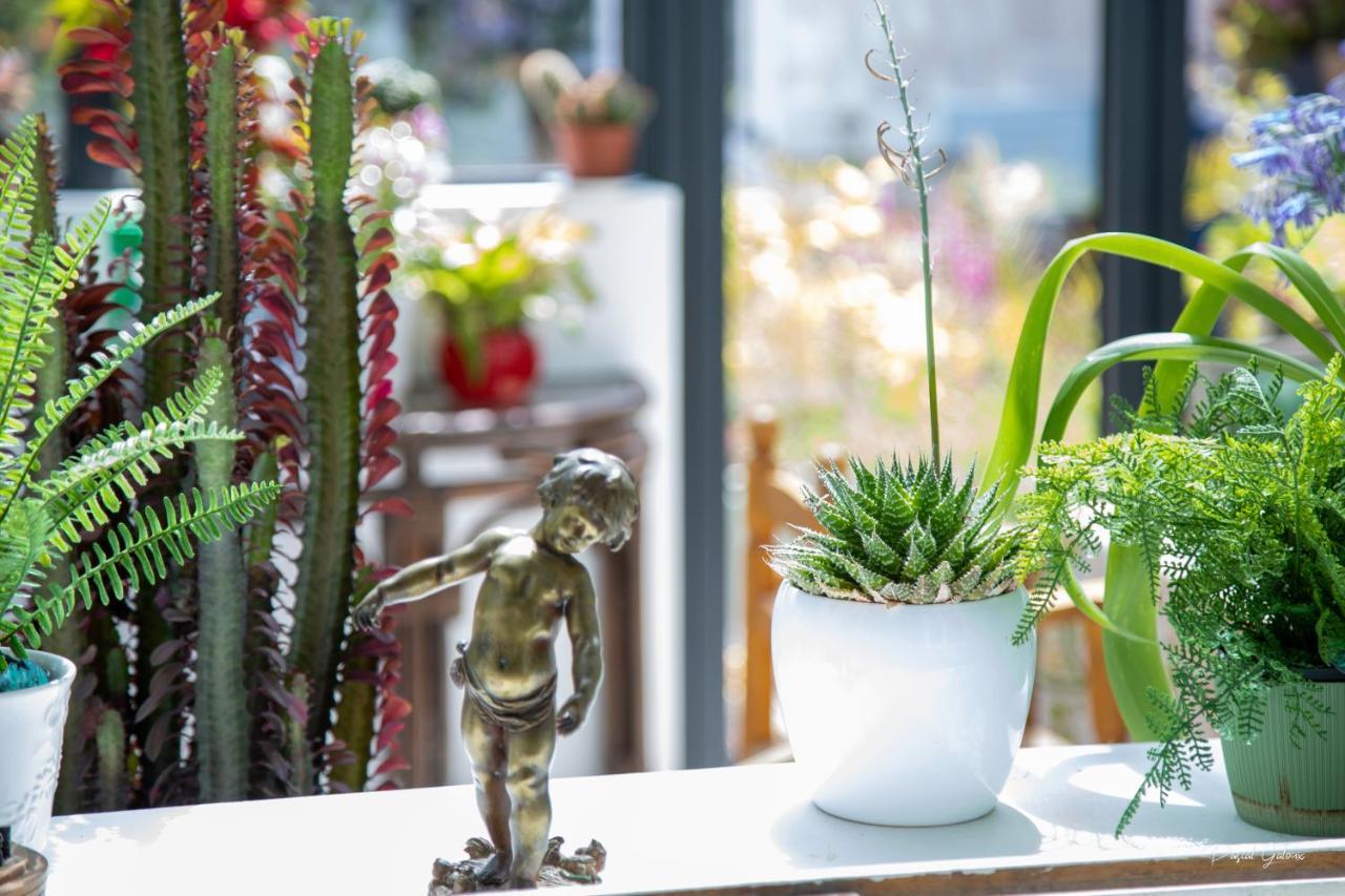 Villa Marguerite 65 Rue Legout Lesage 76260 Ponts Et Marais Ngoại thất bức ảnh